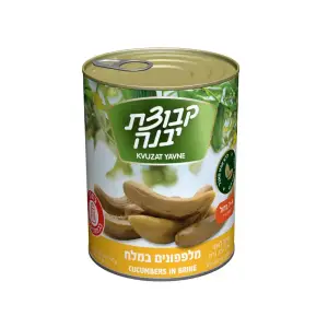 מלפפון במלח 9 7