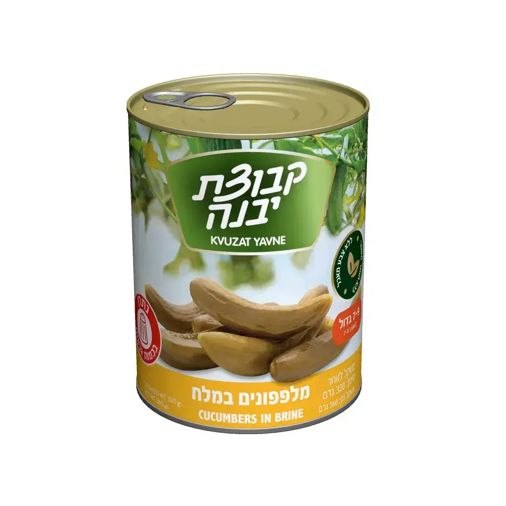 מלפפון במלח 9 7