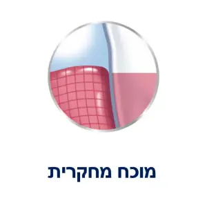 פרודונטקס מי פה 500מל