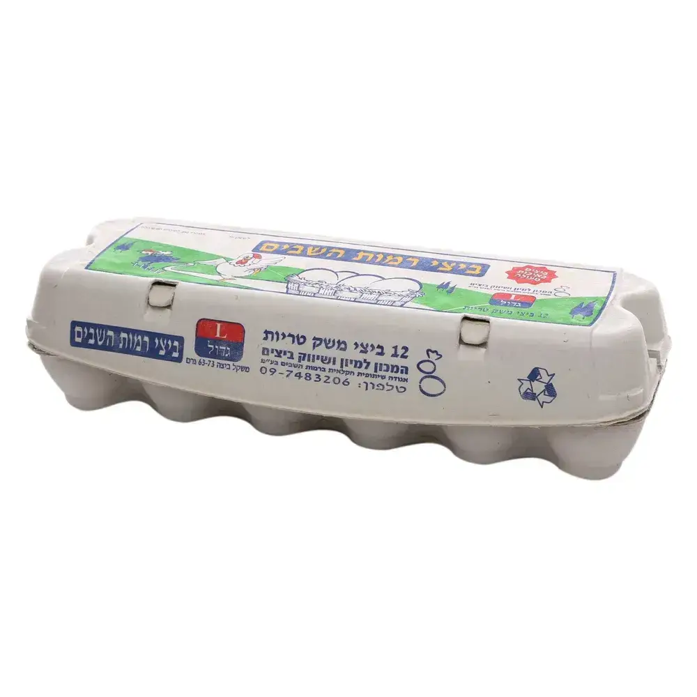ביצים L  גדול(12)