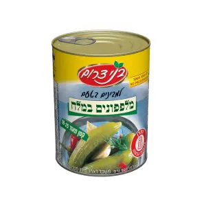 מלפפון במלח 18-25