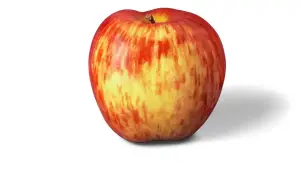 תפוע יונתן