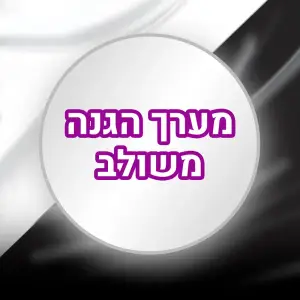 ליידי ספיד סטיק ג'ל בסיסי מרענן 5