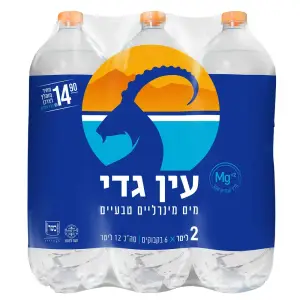 מים עין גדי 6* 2 ליטר