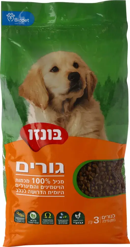 בונזו גורים 3 קג
