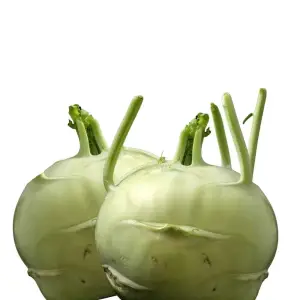 קולורבי