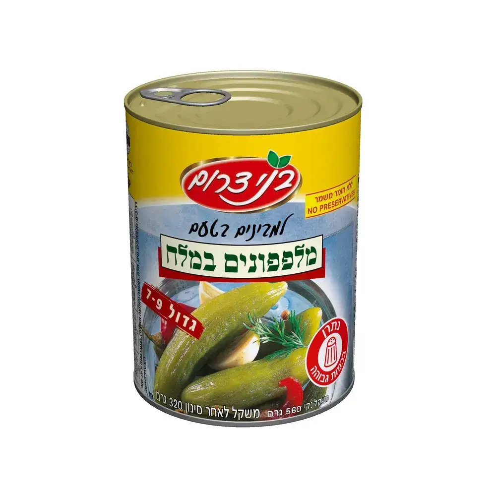 מלפפון במלח 9-7